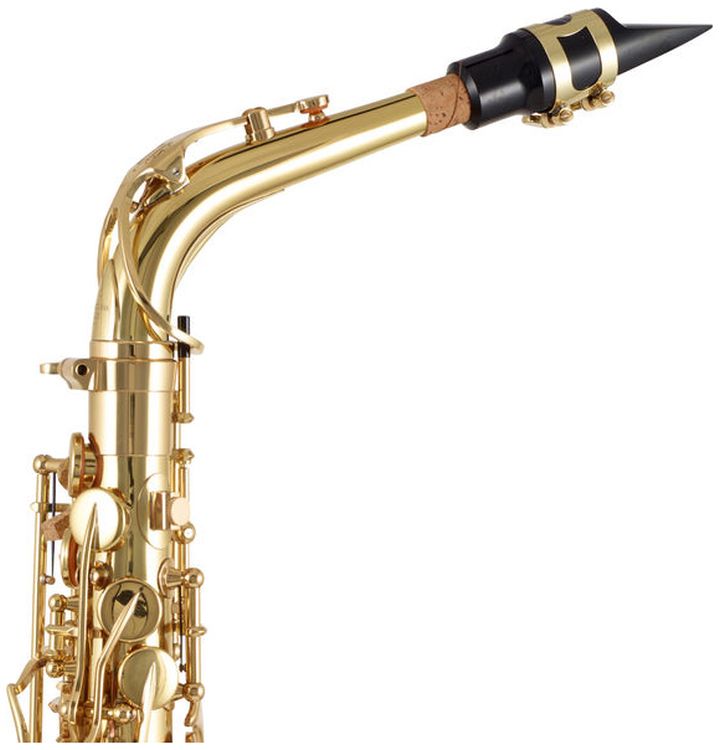 alt-saxophon-yanagis_0003.jpg
